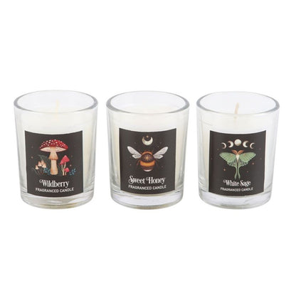 Dark Forest Votive Candle Trio - ScentiMelti  Dark Forest Votive Candle Trio