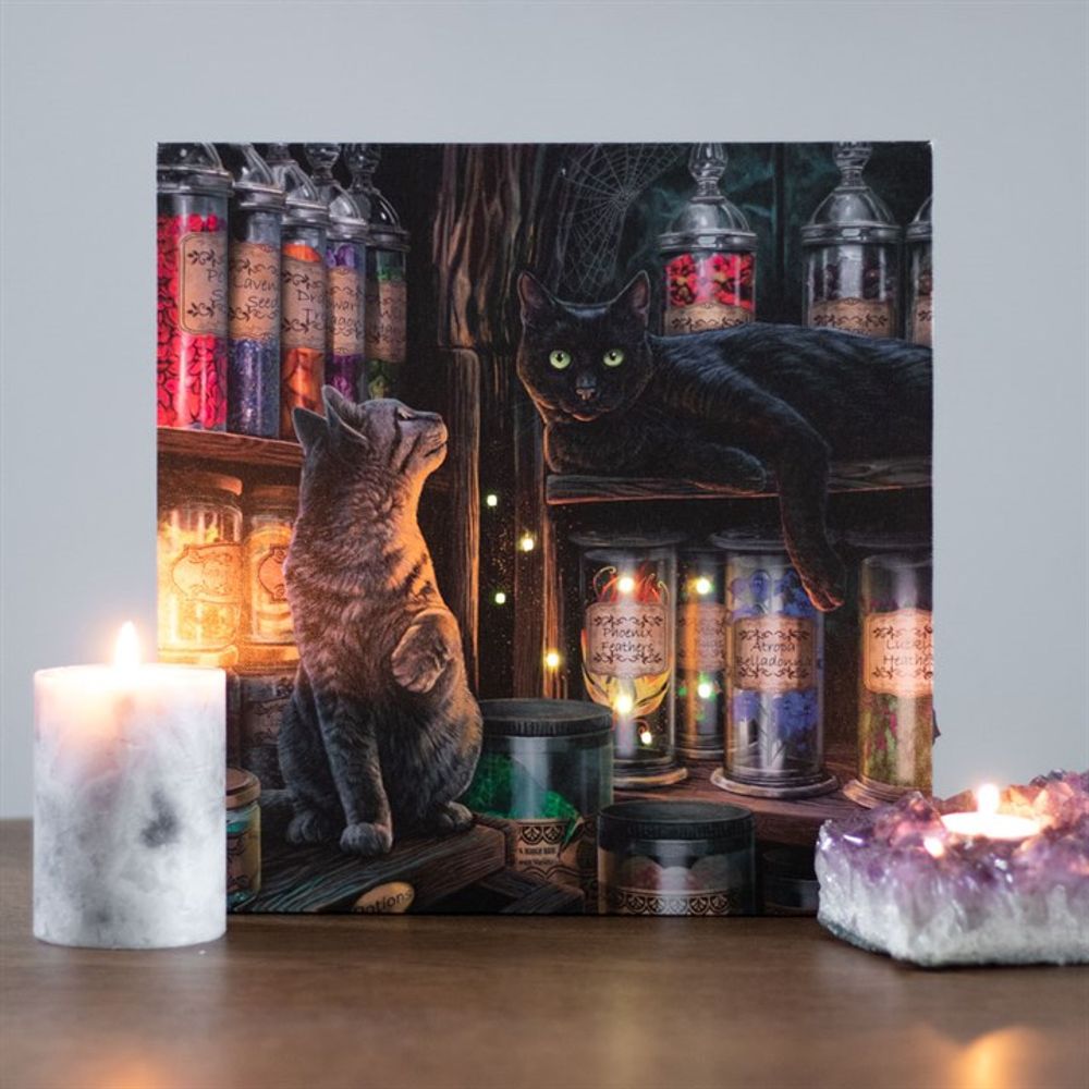 Magical Emporium Light Up Canvas Plaque by Lisa Parker - ScentiMelti  Magical Emporium Light Up Canvas Plaque by Lisa Parker