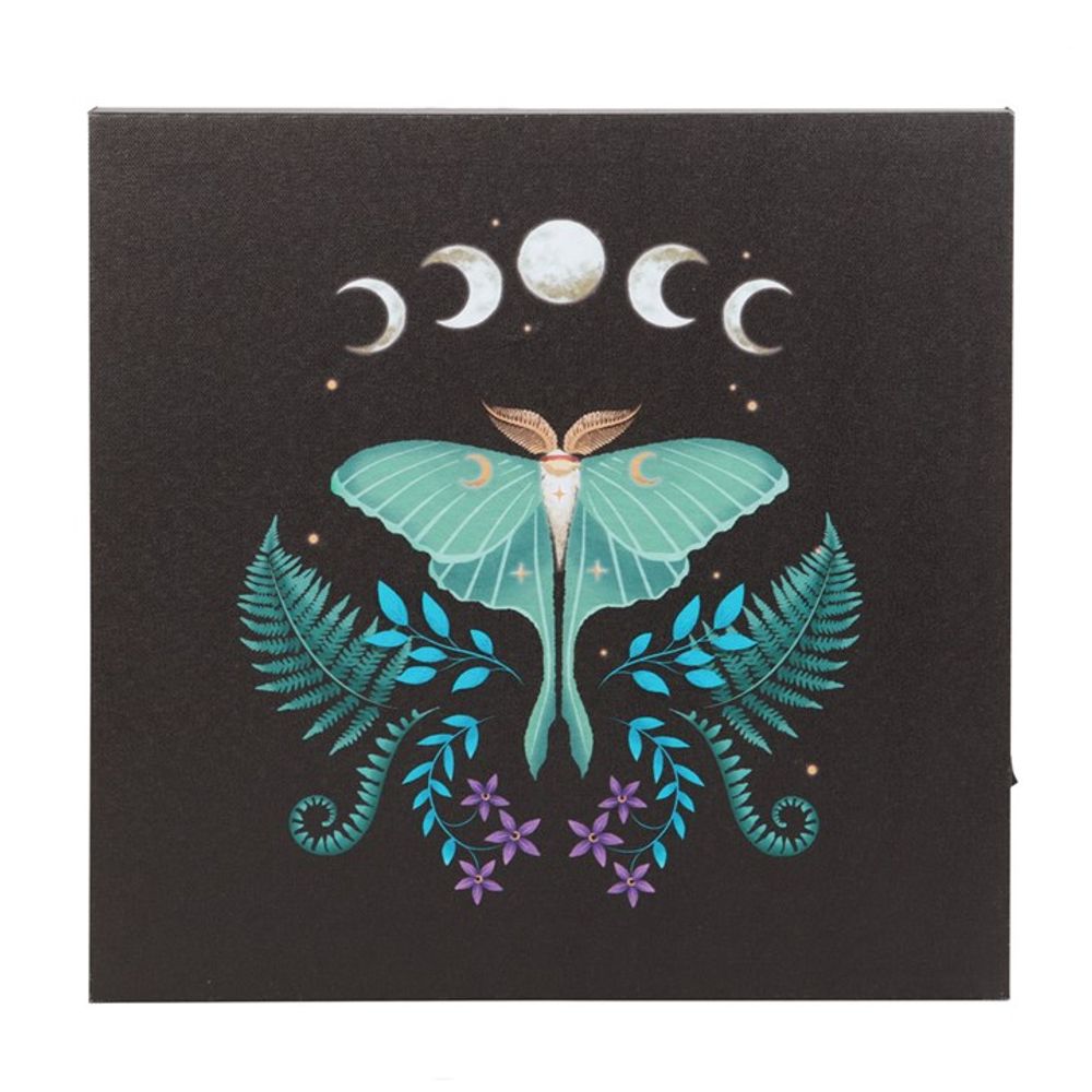 Luna Moth Light Up Canvas Plaque - ScentiMelti  Luna Moth Light Up Canvas Plaque