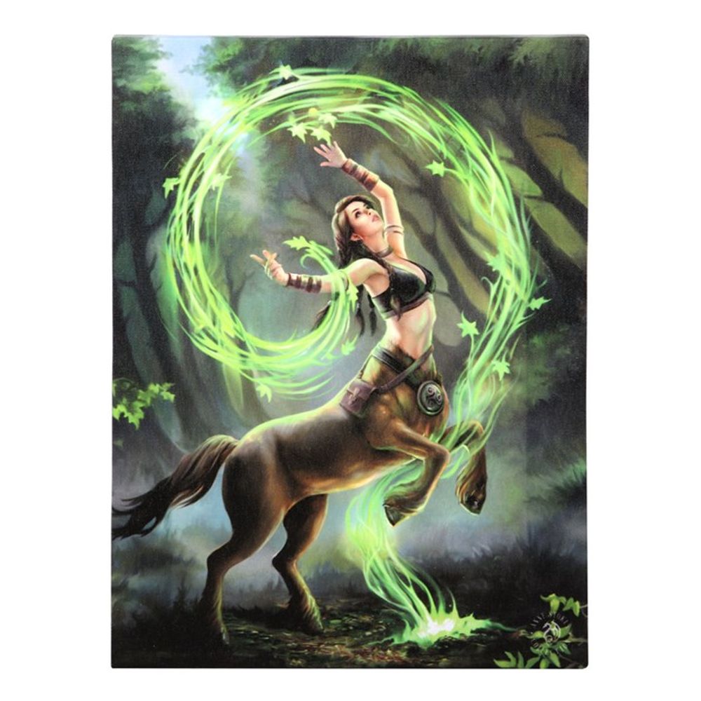 19x25cm Earth Element Sorceress Canvas Plaque by Anne Stokes - ScentiMelti  19x25cm Earth Element Sorceress Canvas Plaque by Anne Stokes