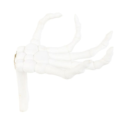 Skeleton Hand Wall Hook - ScentiMelti  Skeleton Hand Wall Hook