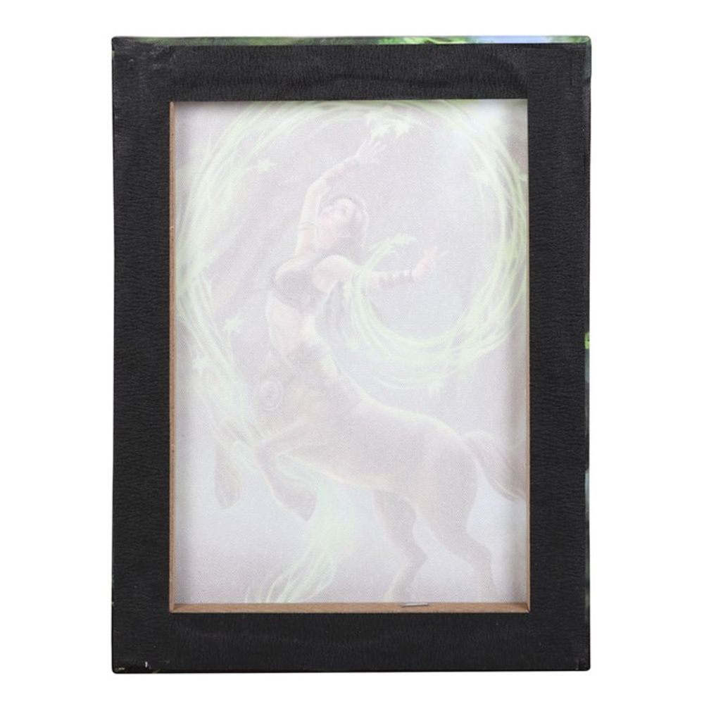 19x25cm Earth Element Sorceress Canvas Plaque by Anne Stokes - ScentiMelti  19x25cm Earth Element Sorceress Canvas Plaque by Anne Stokes