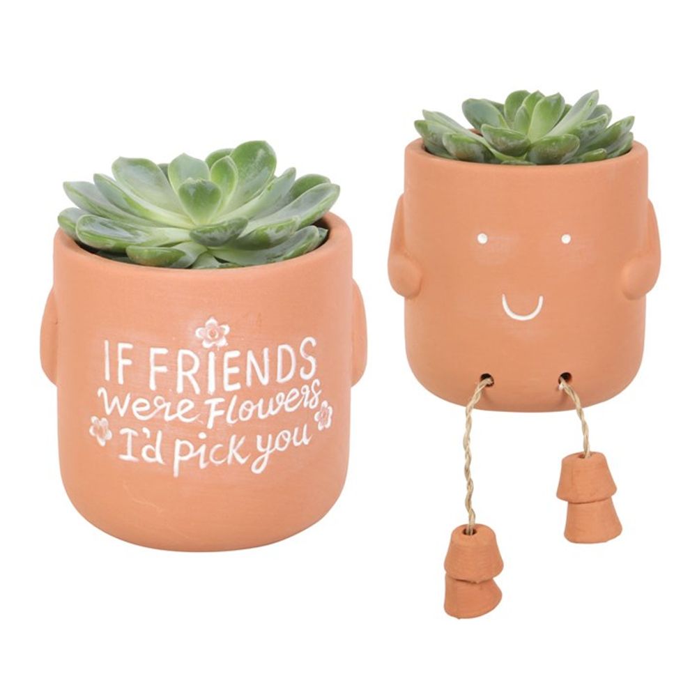 If Friends Were Flowers Sitting Plant Pot Pal - ScentiMelti Home Fragrance, Beauty & Gifts UK