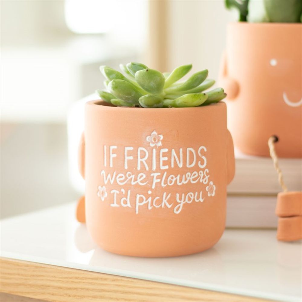 If Friends Were Flowers Sitting Plant Pot Pal - ScentiMelti Home Fragrance, Beauty & Gifts UK