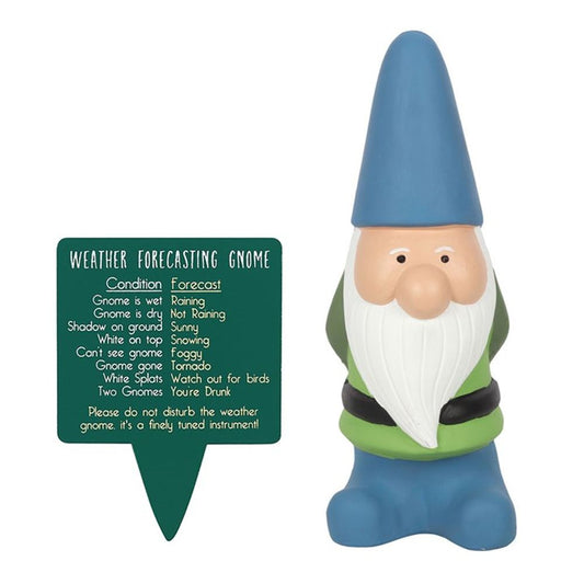 Large Weather Forecasting Gnome - ScentiMelti  Large Weather Forecasting Gnome