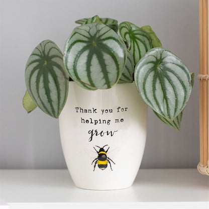 Thank You For Helping Me Grow Ceramic Plant Pot - ScentiMelti  Thank You For Helping Me Grow Ceramic Plant Pot