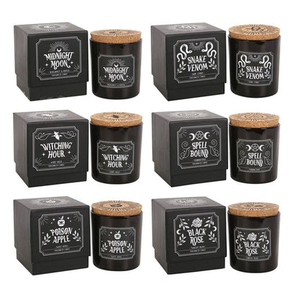 Set of 6 Midnight Ritual Candles - ScentiMelti  Set of 6 Midnight Ritual Candles