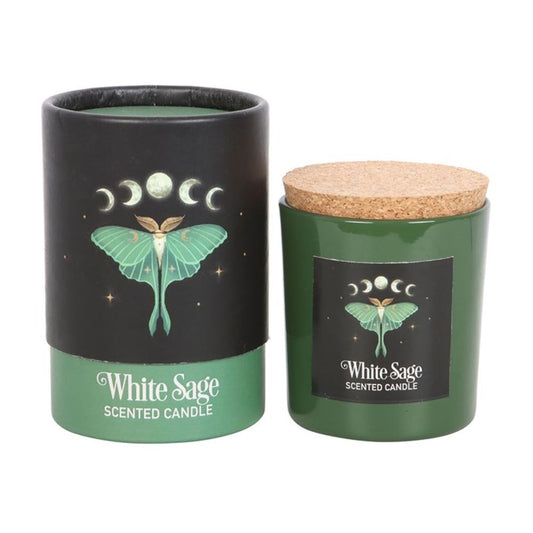 Luna Moth White Sage Candle - ScentiMelti Wax Melts