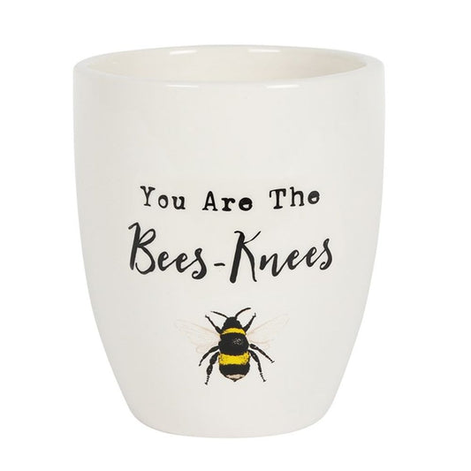 You Are the Bees Knees Ceramic Plant Pot - ScentiMelti  You Are the Bees Knees Ceramic Plant Pot