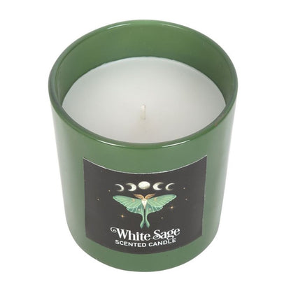 Luna Moth White Sage Candle - ScentiMelti  Luna Moth White Sage Candle