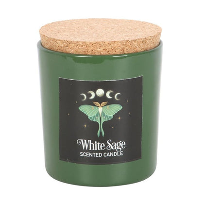 Luna Moth White Sage Candle - ScentiMelti  Luna Moth White Sage Candle